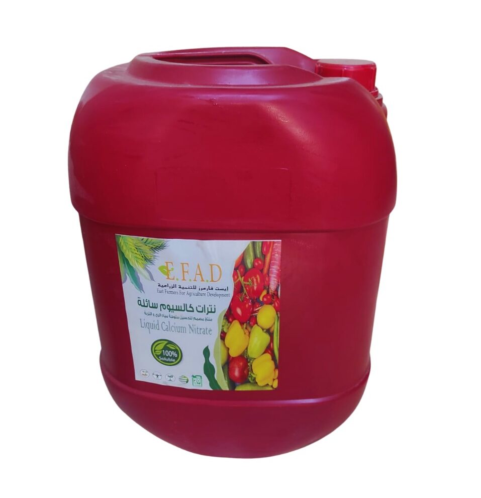 WhatsApp Image 2025-10-23 at 11.16.34_4a9418b3